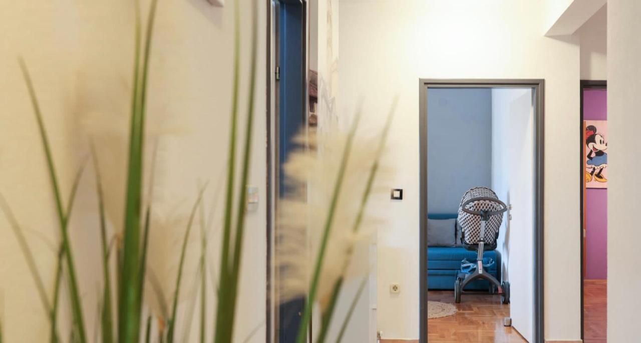 Apartman Nika Sa Jacuzzijem ซาดาร์ ภายนอก รูปภาพ